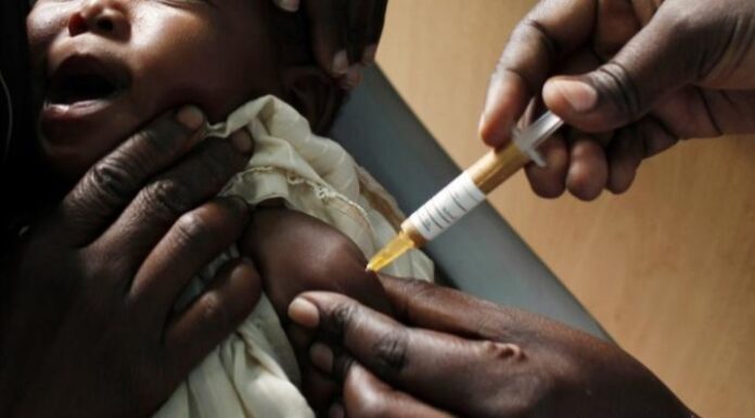 Malaria prevalence drops to 5.6 percent