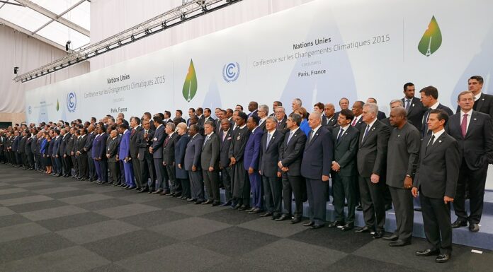 ENVIRONMENT: What 2021 means in the fight against climate change