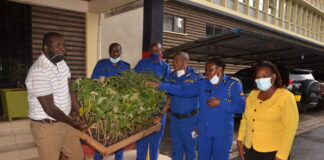 ENVIRONMENT: Making Kenya greener on course