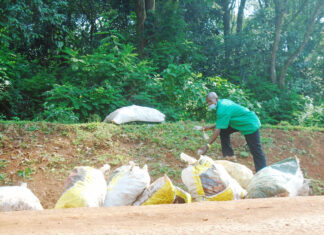 ENVIRONMENT: Kakamega’s waste management woes