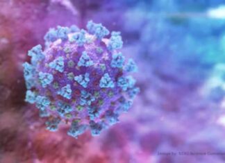 Kenya in the woods yet as more Covid-19 variants possible