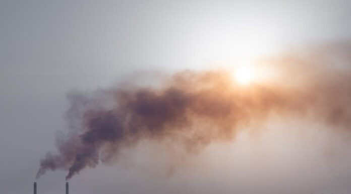 Slash methane emissions, UNEP sponsored report recommends