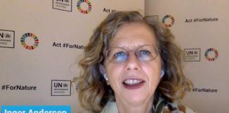 Adopt ‘One Health’ to overcome future pandemics, UNEP boss says