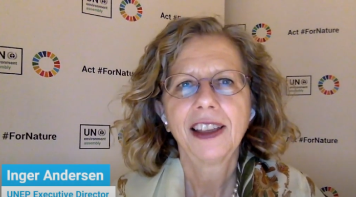 Adopt ‘One Health’ to overcome future pandemics, UNEP boss says