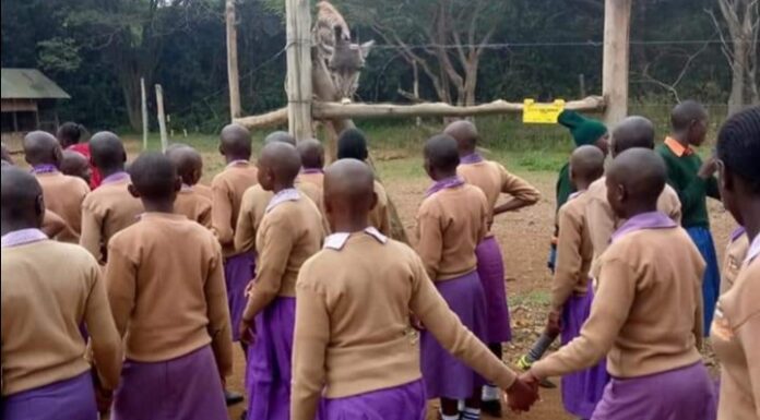 School dares ministry guidelines, sends away underperforming pupils