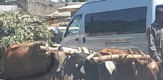 REFLECTIONS: Why the Nyagenkeans are mourning