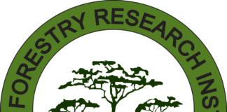 ENVIRONMENT: KEFRI makes efforts to green Kenya