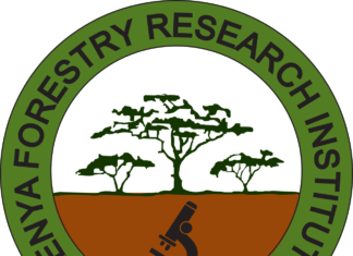 ENVIRONMENT: KEFRI makes efforts to green Kenya