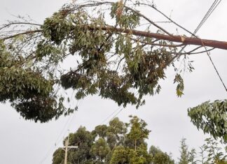 Electricity pole smashes former Kenya Power employee