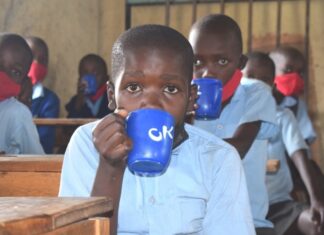 KEMRI develops herbal porridge to control intestinal infections