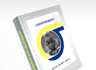 BOOK REVIEW: Arrrow of Destiny