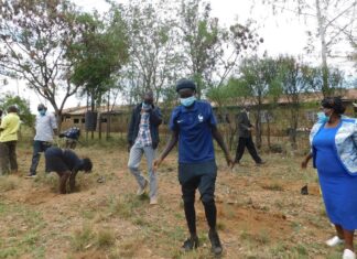 Maize farming in forest land stopped