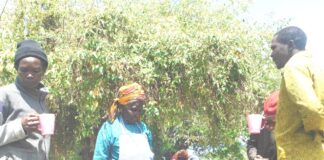 Taste of little understood yet beloved Baringo drink leaves consumers smiling