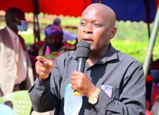 MPs condemn Nyaribo’s actions