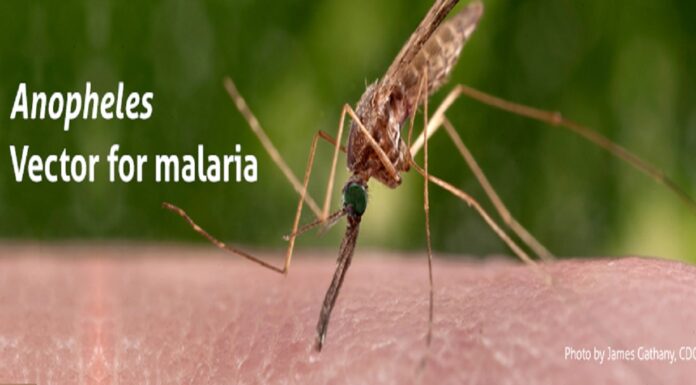 Scientists: Mosquito repellent could help prevent malaria