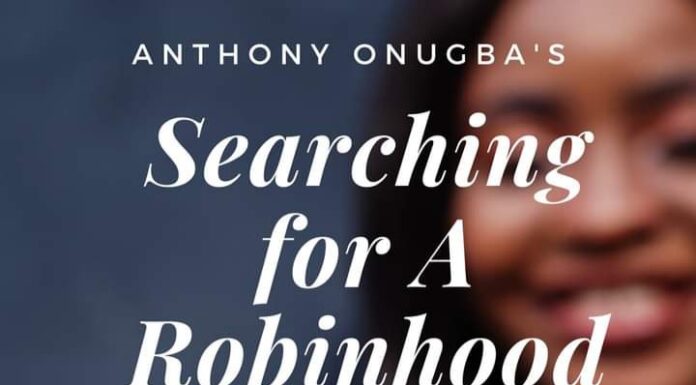 Searching for A Robinhood: The Nigerian Dilemma