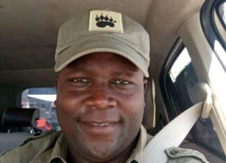 Who is sponsoring cattle rustling in the North Rift?