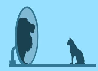 A Brief Exploration of the Ego