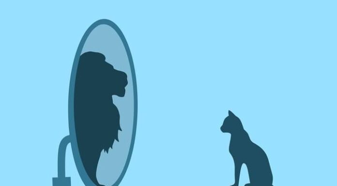 A Brief Exploration of the Ego