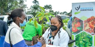 Waiguru in list of 100 Africa’s most influential women