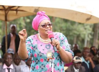 Excitement as more women show interest in elective politics