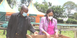 Trans Nzoia County vows to boost coffee sector