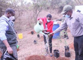 Tetra Pak roots for environmental conservation