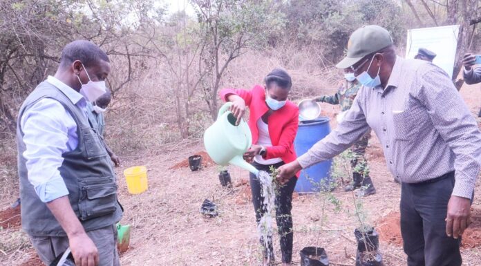 Tetra Pak roots for environmental conservation