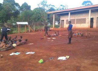 Why the cane may not help students