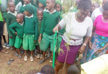 Bank supports conservation efforts in Kitui County