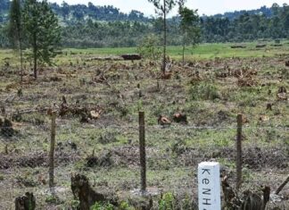 There’s potential if Sironga Industrial Park is built