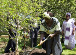 BOOK REVIEW: Replenishing the Earth