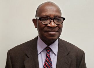 How to Succeed as an Entrepreneur in Africa: A Practical Guide and Cases