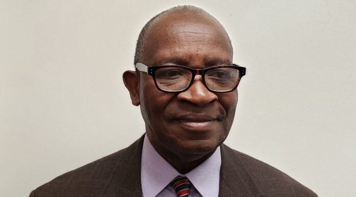 How to Succeed as an Entrepreneur in Africa: A Practical Guide and Cases