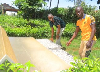 AGRIBUSINESS: Value-adding pays off pumpkin farmers