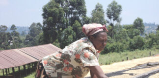 AGRIBUSINESS: Which way coffee sector?