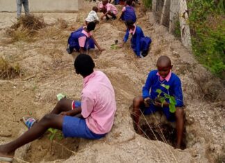 NEMA, KFS, plant trees in Ndumoni primary, Kitui County