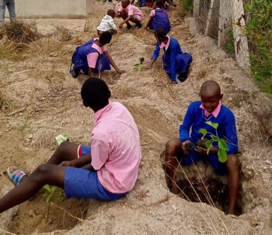 NEMA, KFS, plant trees in Ndumoni primary, Kitui County