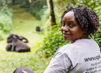 How ‘One Health’ protects apes and humans in Uganda