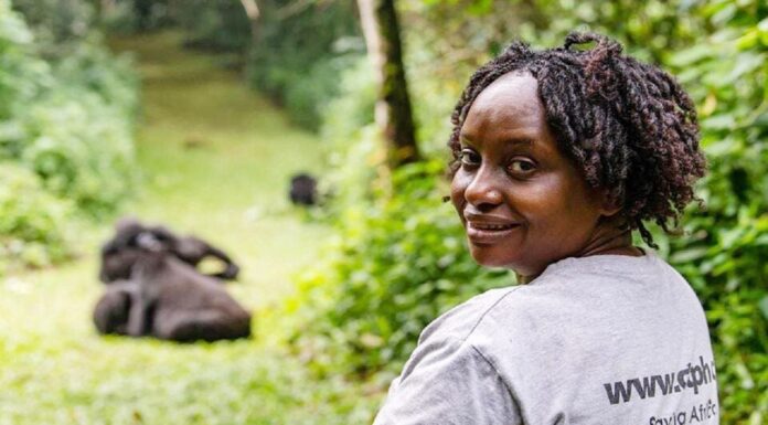 How ‘One Health’ protects apes and humans in Uganda