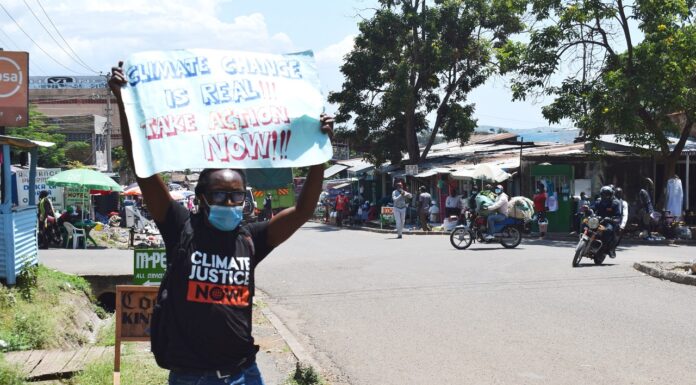 Involve indigenous communities in climate change mitigation, activists demand