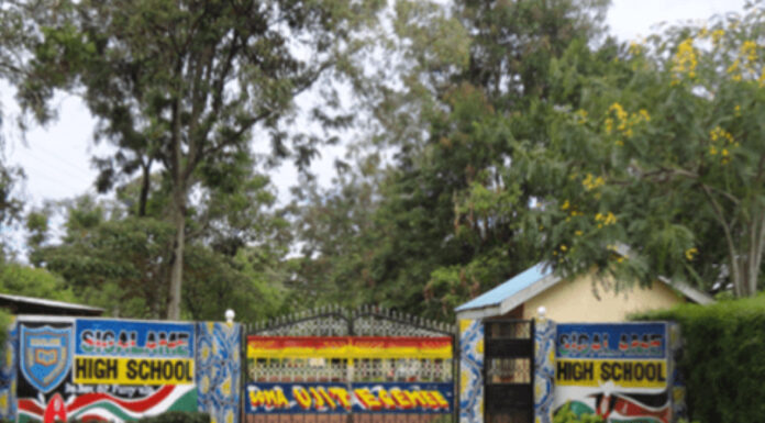 School Greening Program set to increase county’s forest cover Entrance to Sigalame High School in Funyula sub-county, Busia County, on a backdrop of beautiful canopies. To boost the county's forest cover, a tree-planting exercise has been ongoing in most of the schools within the county. PHOTO/Courtesy.