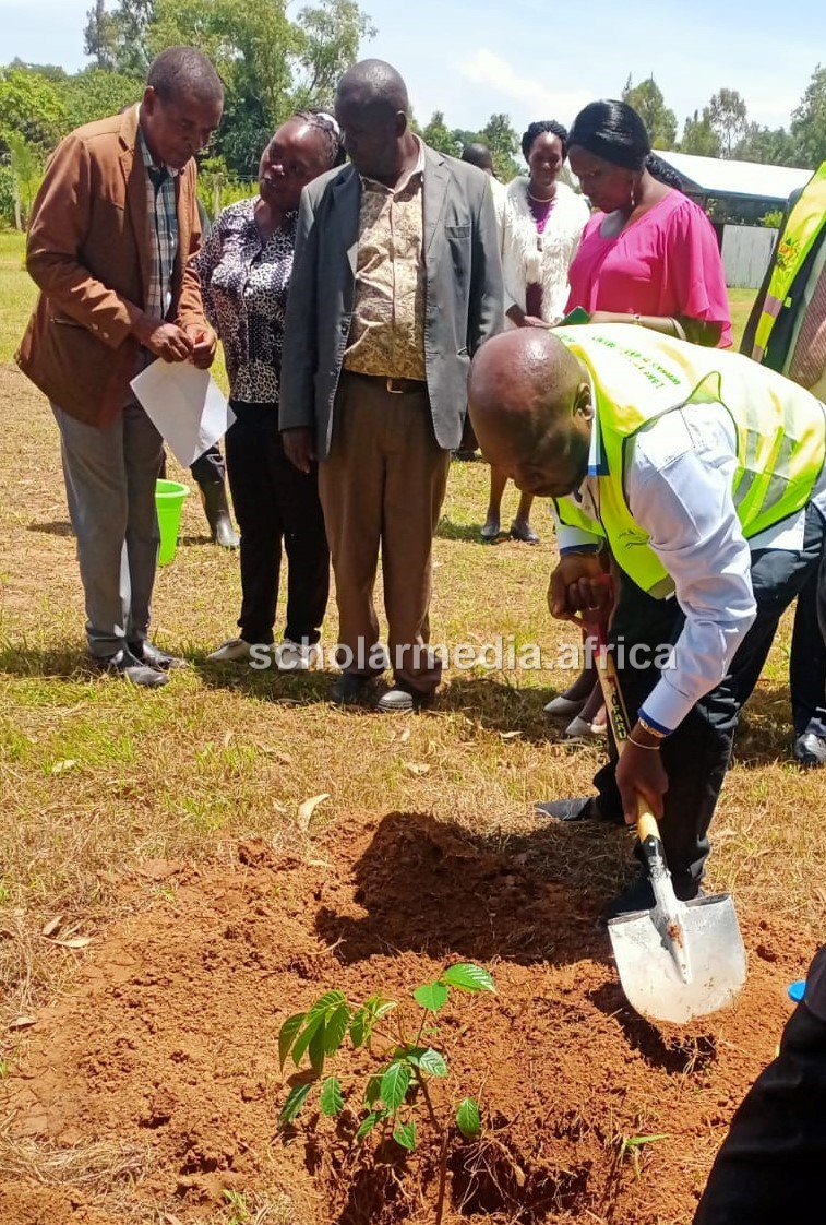 A county official planting a tree at a school in Busia County recently; Busia County's forest cover currently stands at 1.04 percent.
The county government of Busia is undertaking a school Greening Program aimed at increasing the county's forest cover.  PHOTO/Gilbert Ochieng, The Scholar Media Africa.