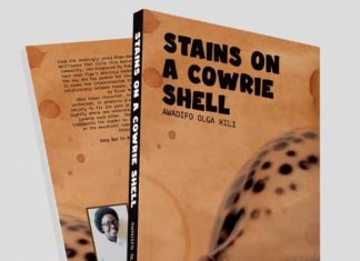 BOOK REVIEW: Stains on a Cowrie Shell A cover page design of the book 'Stains on a Cowrie Shell' by Awadifo Olga Kili. The author uses fiction to call the world to attention on the need to cease and discard any tradition and custom ruining people's lives with regard to human rights. PHOTO/Courtesy.