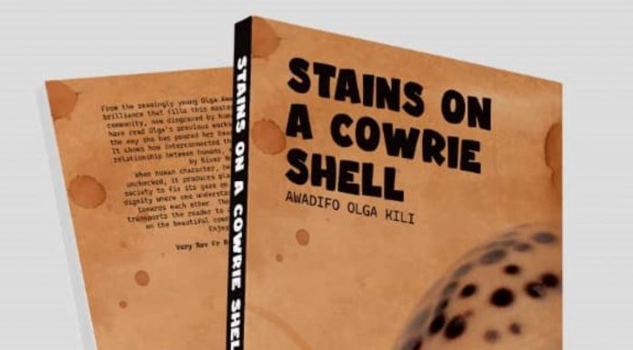 BOOK REVIEW: Stains on a Cowrie Shell A cover page design of the book 'Stains on a Cowrie Shell' by Awadifo Olga Kili. The author uses fiction to call the world to attention on the need to cease and discard any tradition and custom ruining people's lives with regard to human rights. PHOTO/Courtesy.