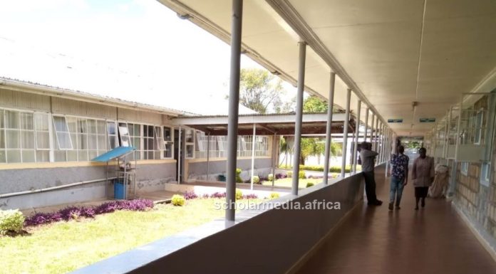 Why Mercy Mission Hospital is Baringo’s most-trusted healthcare facility Mercy Mission Hospital's in-patient section. The faith-based hospital has been providing quality healthcare services for over 50 years now. PHOTO/Janet Kiriswo, The Scholar Media Africa.