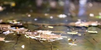 Lang Lang, little-known ‘crying stone’ showering Baringo residents The naturally-heated waters at the Lang Lang Forest in Baringo County. PHOTO/Janet Kiriswo, The Scholar Media Africa.