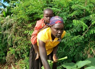 How women suffer violence for embracing modern family planning A mother carrying her daughter while attending to her duties in Kisii County. Numerous women in the Gusii region still suffer GBV after resolving to embrace modern family planning and reproductive health decisions. PHOTO/Ben Oroko, The Scholar Media Africa.
