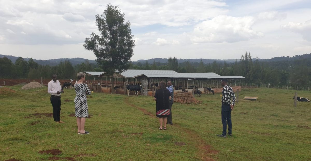 Dr. McQuaid and Dr. Durgan with Kisii University team on visiting the institution's Nyosia Farm. PHOTO/Courtesy.