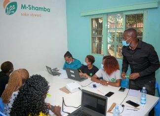 How youth-innovated mobile platform is revolutionizing Kenya’s food production, security M-shamba staff during an inhouse training. The platform connects farmers to experts and potential buyers for their farm products. PHOTO/ M-Shamba Soko Shwari.
